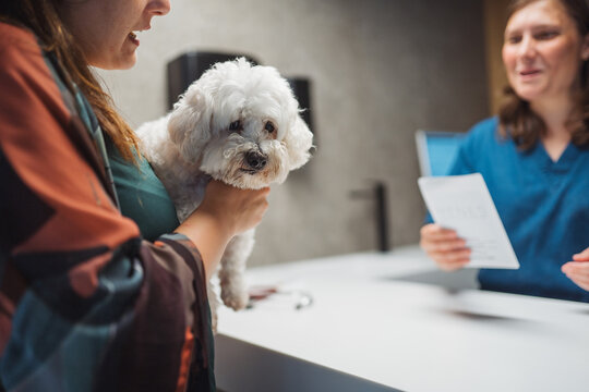 Crop owner with cute dog at appointment