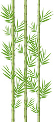 Bamboo stems with leaves