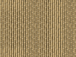 Bamboo background