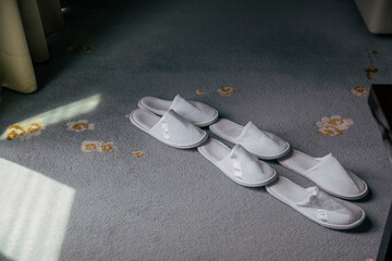 Hotel Slippers