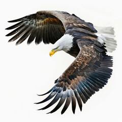 Stunningly Detailed Bald Eagle Watercolor, Isolated on White Background - Generative AI