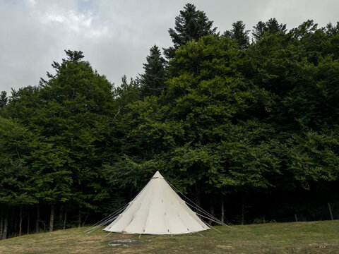 Bell tent on a forest