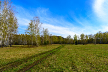 Fototapeta na wymiar South Ural forest road with a unique landscape, vegetation and diversity of nature.