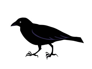 横を向いたカラスのベクターイラスト