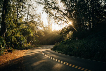 beautiful road through the nature of kauai, hawaii