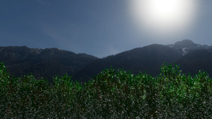 Trees and sky swaying in the wind