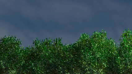 Trees and sky swaying in the wind