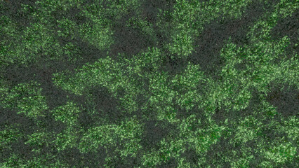 Trees and sky swaying in the wind