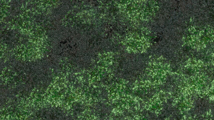 Trees and sky swaying in the wind