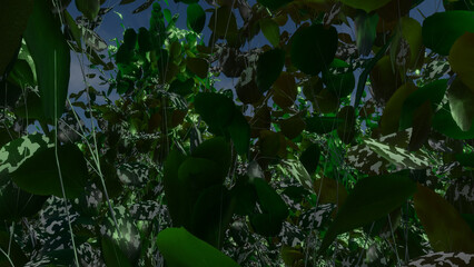 Trees and sky swaying in the wind