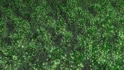 Trees and sky swaying in the wind