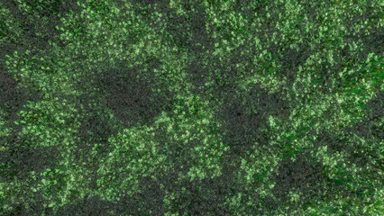 Trees and sky swaying in the wind