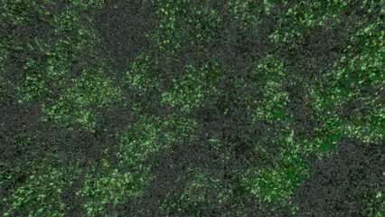 Trees and sky swaying in the wind