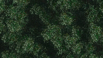 Trees and sky swaying in the wind