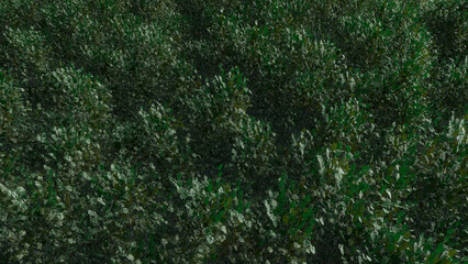 Trees and sky swaying in the wind