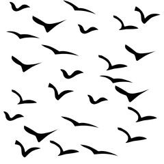 Naklejka premium Flying Bird Silhouette Vector