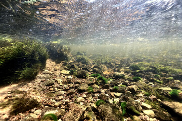 fast stream with clear fresh water underwater photo