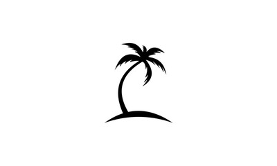 Fototapeta na wymiar silhouette of palm tree