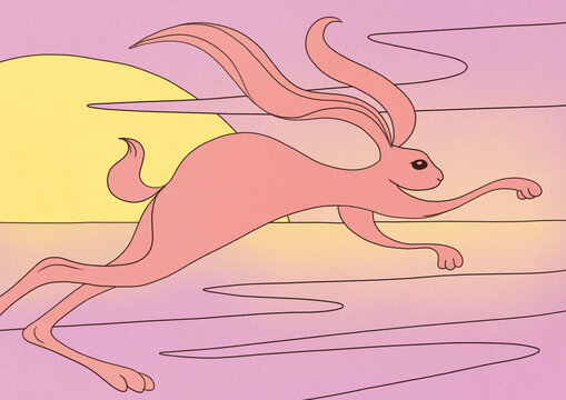 Hopping Into the Year of the Rabbit