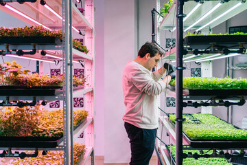 Man working in plant nursery