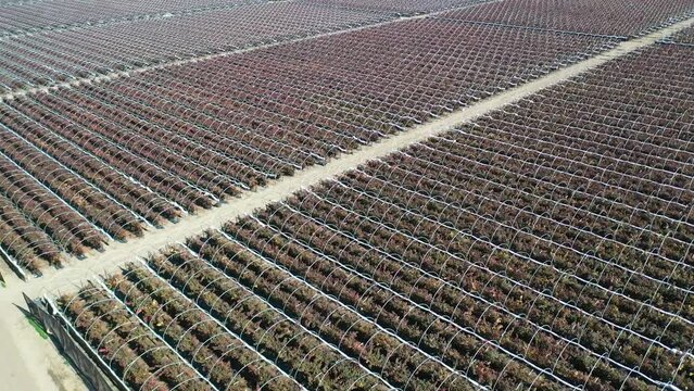 2023 - Excellent aerial footage of crops being treated in Lompoc, California.