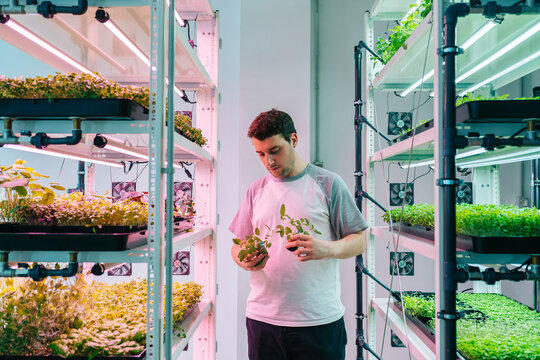 Man standing between shelves in greenhouse with plants