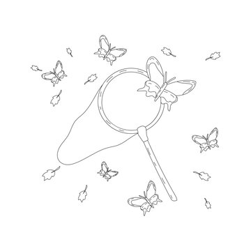 Vector illustration coloring page for children, butterflies and net, catch butterflies, black and white butterfly.