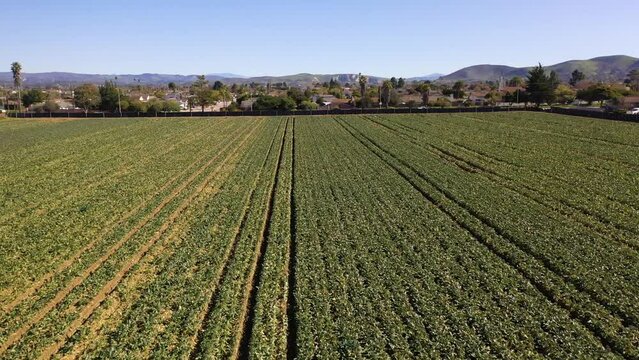 2023 - Excellent aerial footage moving over farmland and suburbs in Lompoc, California.