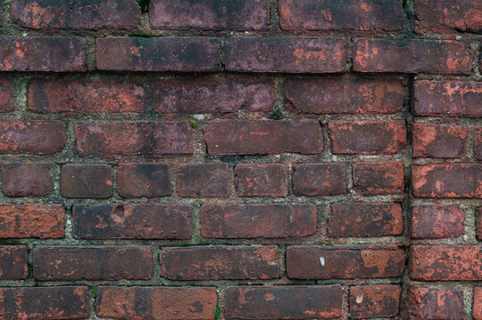 Fototapeta red brick wall texture