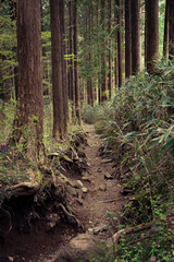 Taste the end of the climb