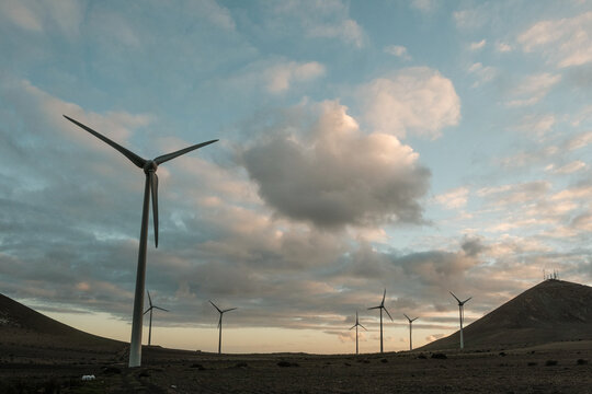Wind park at nightfall
