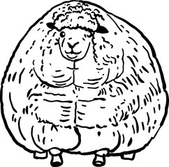 Sheep cartoon with a lot of hair.png