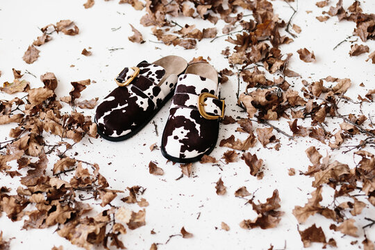 Stylish shoes - Fall fashion