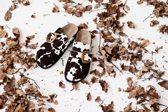 Autumn fashion still life with shoes