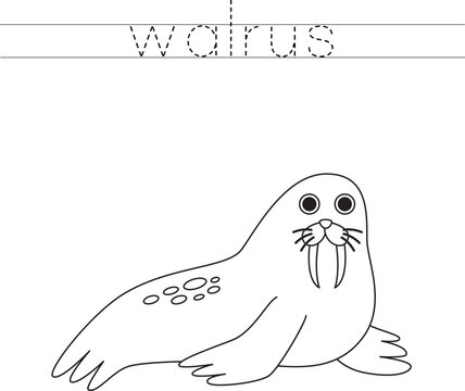 Trace the letters and color cartoon walrus. Handwriting practice for kids.