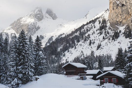 Wooden cabins in snowy winter scenery
