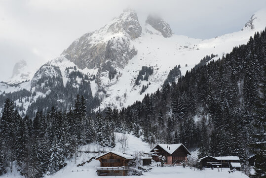 Wooden cottages in snowy winter scenery