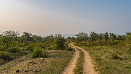 Fototapeta na wymiar The safari road winds through the jungle. Ruts are visible on the ground. On the roadsides there is green grass, bushes, trees. A mountain range against the sky in the distance. India. Sariska 
