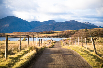 Road through rural Scottish Highlands at golden hour