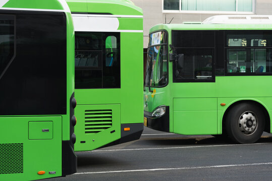 Parked green buses