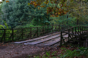 Wooden bridge across the river in the autumn park