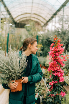 Woman with a houseplant in her hands in a greenhouse