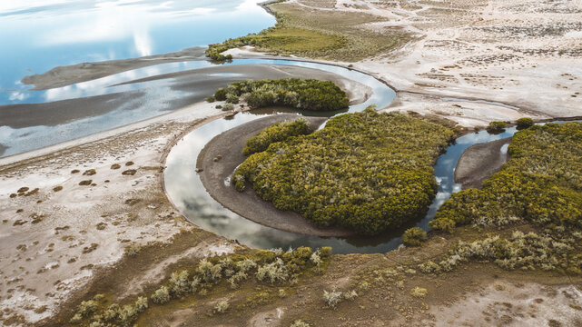 water channel meandering through mangroves