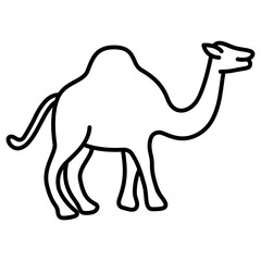 camel illustration