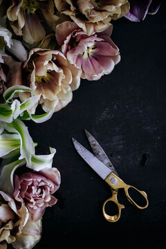 Cut tulip flowers and scissors