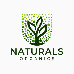 Modern nature plant shield logo design vector