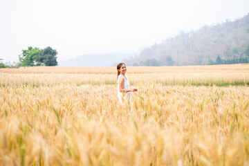 Young Asian women  in white dresses walking in the Barley rice field season golden color of the wheat plant at Chiang Mai Thailand