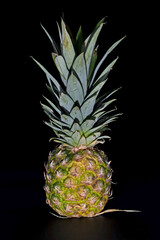 Whole fruit of a pineapple against a black background