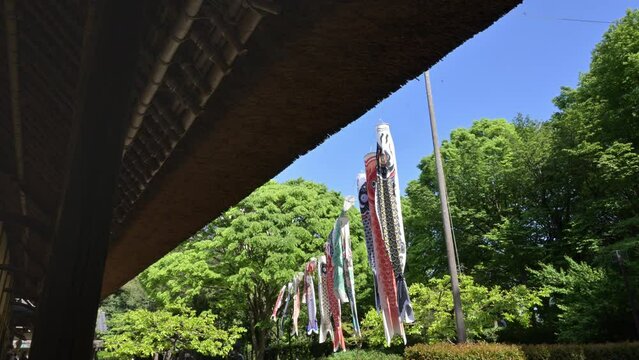Japanese Koinobori  - 鯉のぼり -