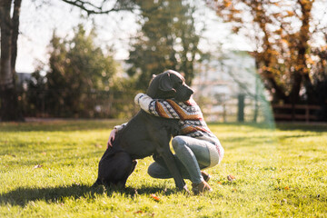 Anonymous woman hugging big dog